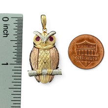 Load image into Gallery viewer, 14KT Tri - Color Gold Owl Pendant
