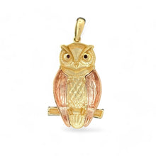 Load image into Gallery viewer, 14KT Tri - Color Gold Owl Pendant
